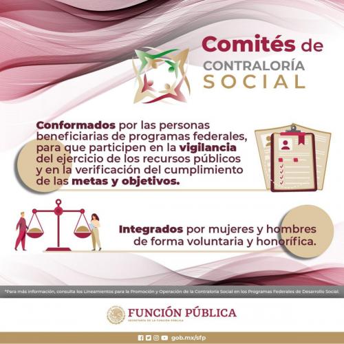 Infografía-3-Comités-de-Contraloría-Social